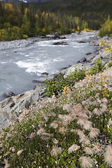 Image showing Fall river landscape, shallow DOF