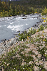 Image showing Fall landscape with flowers in foreground, deep DOF