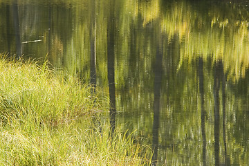 Image showing Autumn reflections