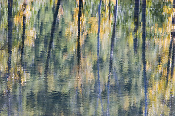 Image showing Water reflection abstract