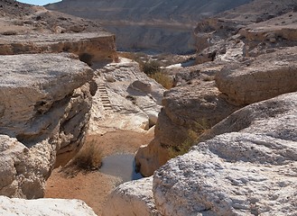 Image showing Small pond in desert canyon