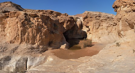 Image showing Small pond in desert canyon