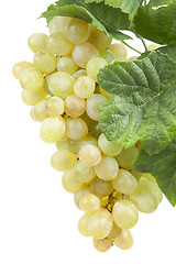 Image showing white grape, isolated 