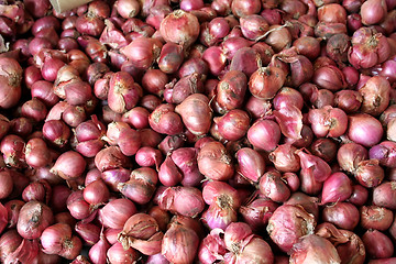 Image showing Onions