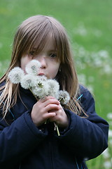 Image showing blond girl