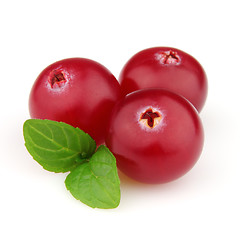 Image showing Cranberry with leaves of mint