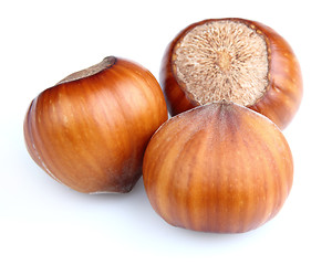 Image showing Hazelnuts in closeup