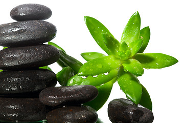 Image showing Spa a stone isolated on white background 