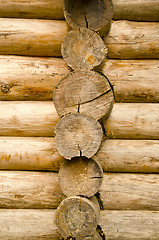 Image showing Log wooden house made of tree trunk wall closeup 