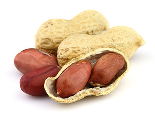 Image showing Dried peanuts