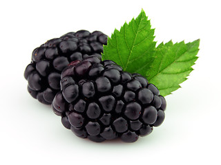 Image showing Ripe blackberry