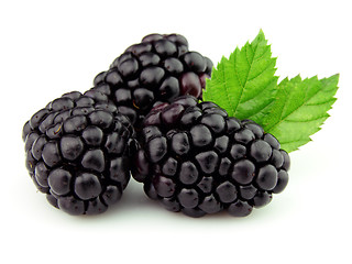 Image showing Blackberry in closeup