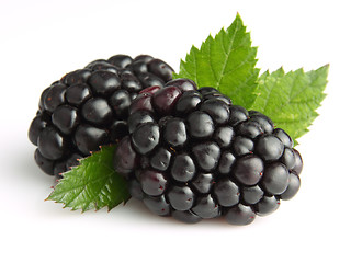 Image showing Blackberry with leaves