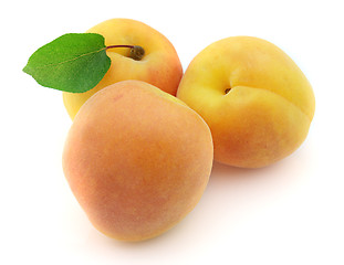 Image showing Fresh apricot