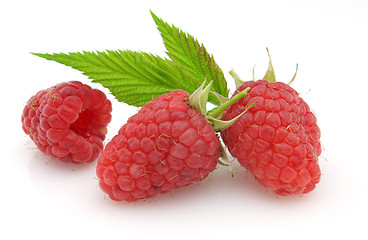 Image showing Raspberry with leaves