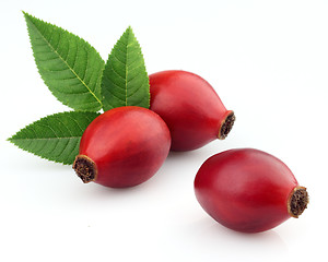 Image showing Dog rose with leaves