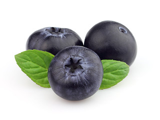 Image showing Blueberry with leaves of mint