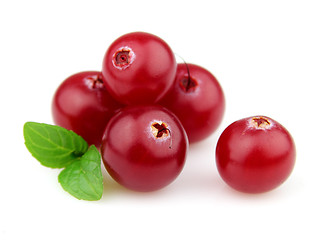 Image showing Berry of cranberry with mint