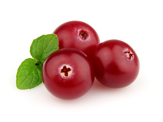 Image showing Fresh cranberry in a white background