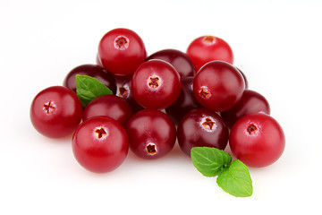 Image showing Cranberry with leaves