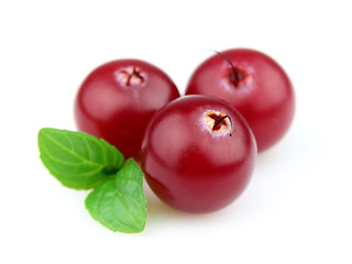 Image showing Cranberry with mint