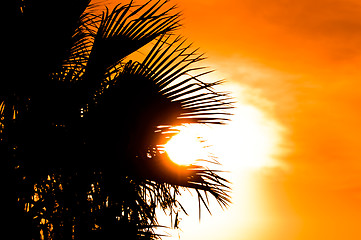 Image showing Beautiful summer background with a silhouette