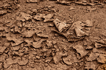 Image showing Dry soil closeup before rain