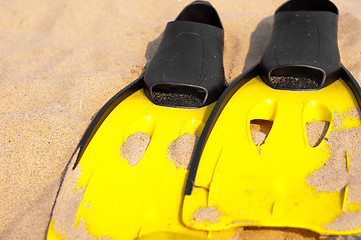 Image showing Flippers in the sand on the beach