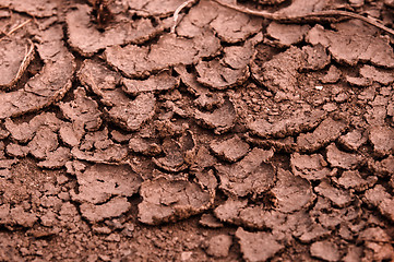 Image showing Dry soil closeup before rain