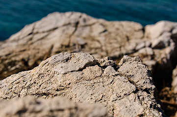 Image showing Grey rocks on the shore of an ocean