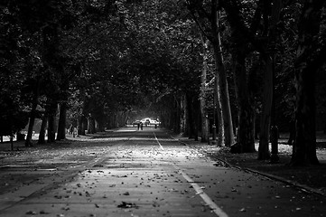 Image showing Black and white photo of a pathway in the park