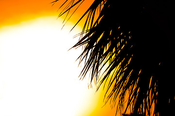 Image showing Beautiful summer background with a silhouette