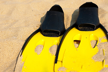Image showing Flippers in the sand on the beach