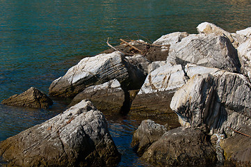 Image showing Tranquil scene at the shores of an ocean