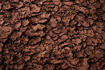 Image showing Dry soil closeup before rain