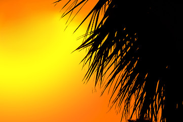 Image showing Beautiful summer background with a silhouette