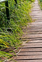 Image showing A little sidewalk with fresh green grass