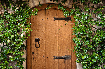 Image showing Traditional wooden door with green plant