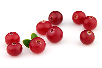 Image showing Cranberry with leaves