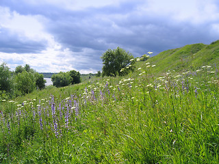 Image showing summer landscape