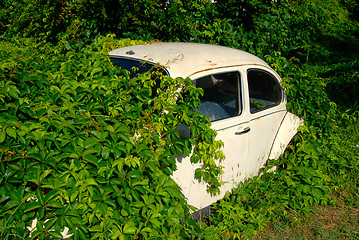 Image showing Abandoned car