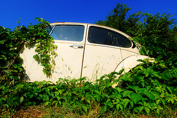 Image showing Abandoned car 