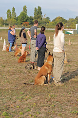 Image showing people with dogs