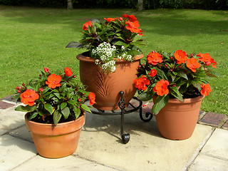 Image showing Patio Pots