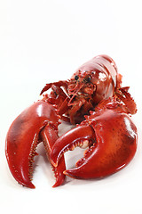 Image showing lobster