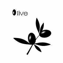 Image showing Black Olive