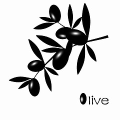 Image showing Black Olive