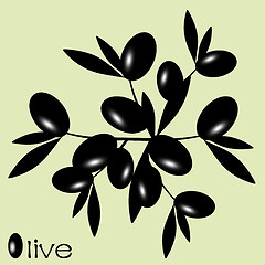 Image showing Black Olive