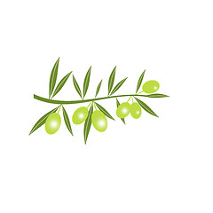 Image showing Silhouette of green olive branch 