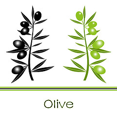 Image showing Black and Green Olives Branch 
